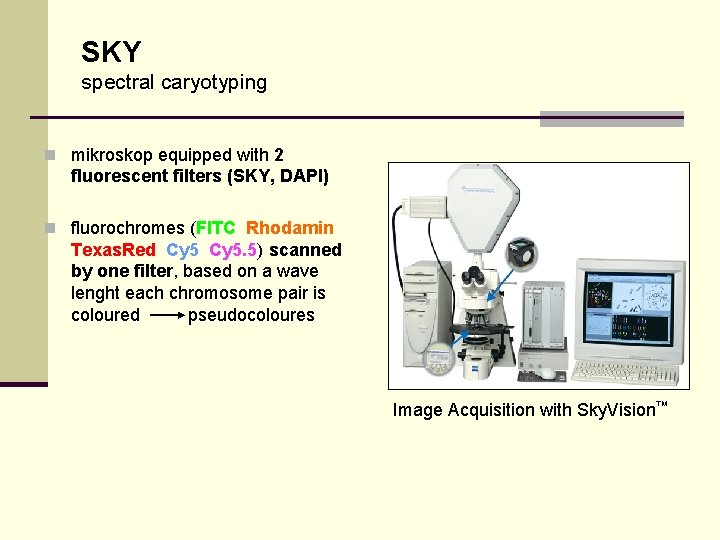 SKY spectral caryotyping n mikroskop equipped with 2 fluorescent filters (SKY, DAPI) n fluorochromes