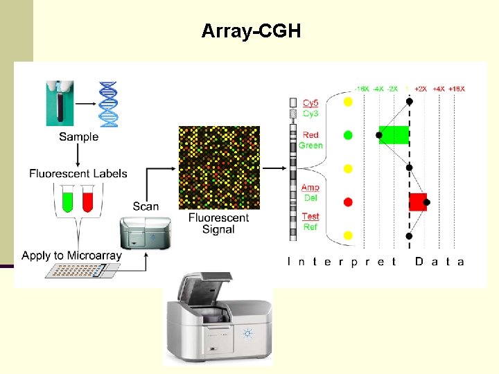 Array-CGH 