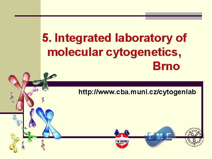 5. Integrated laboratory of molecular cytogenetics, Brno http: //www. cba. muni. cz/cytogenlab 