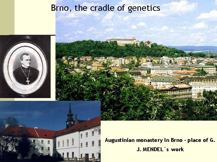 Brno, the cradle of genetics Augustinian monastery in Brno – place of G. J.