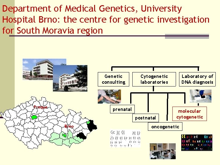 Department of Medical Genetics, University Hospital Brno: the centre for genetic investigation for South