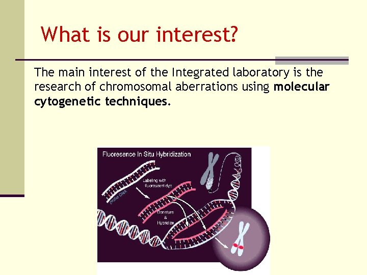 What is our interest? The main interest of the Integrated laboratory is the research