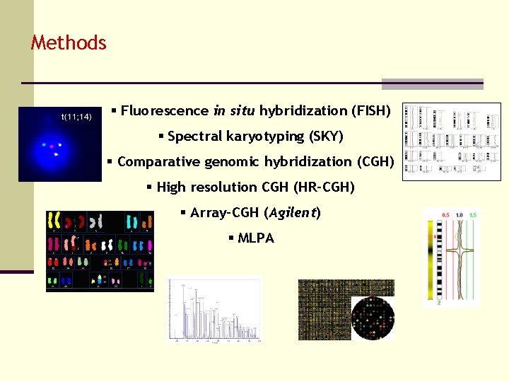 Methods § Fluorescence in situ hybridization (FISH) § Spectral karyotyping (SKY) § Comparative genomic