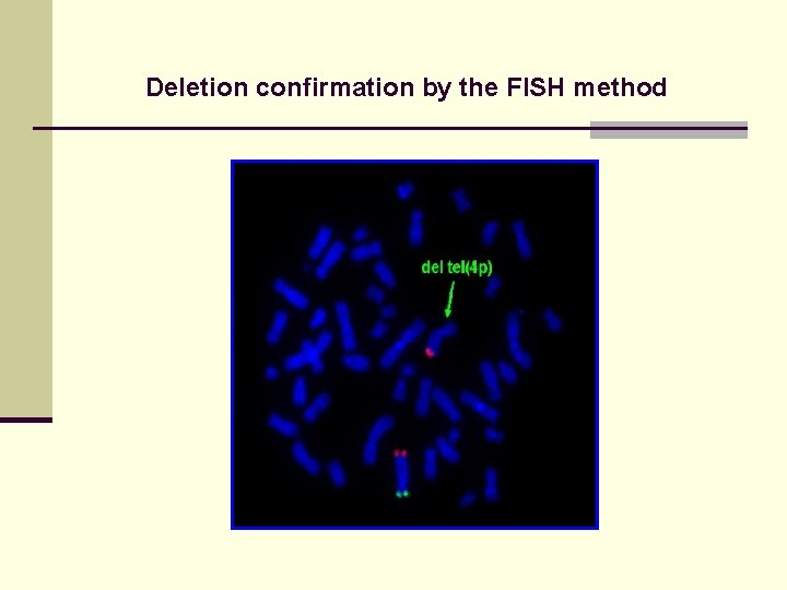 Deletion confirmation by the FISH method 