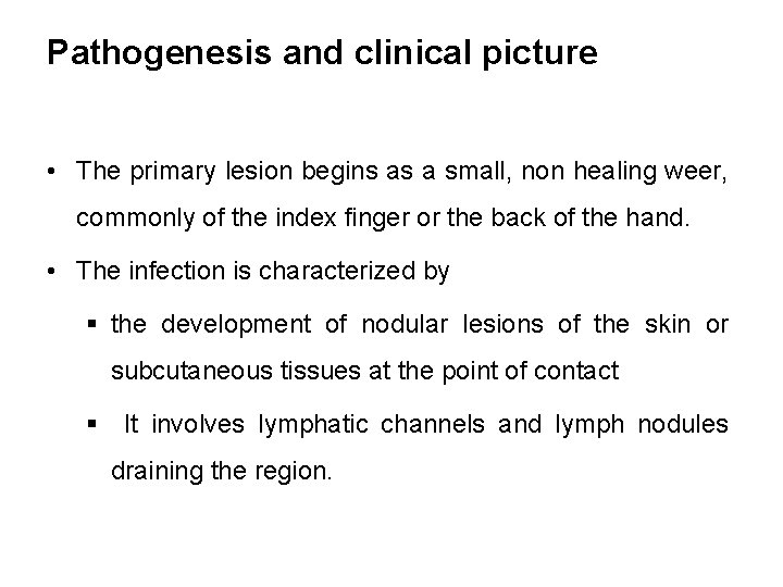 Pathogenesis and clinical picture • The primary lesion begins as a small, non healing