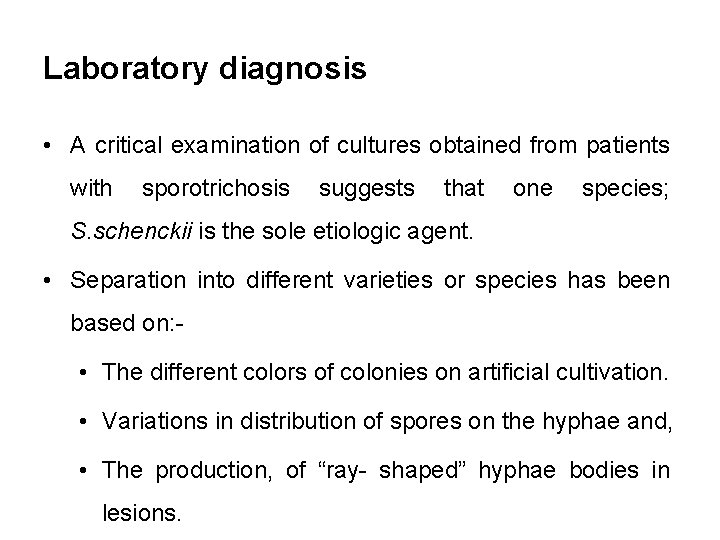 Laboratory diagnosis • A critical examination of cultures obtained from patients with sporotrichosis suggests