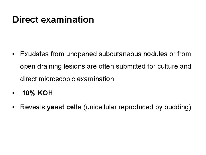 Direct examination • Exudates from unopened subcutaneous nodules or from open draining lesions are