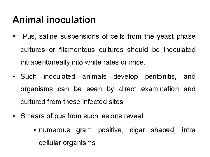 Animal inoculation • Pus, saline suspensions of cells from the yeast phase cultures or