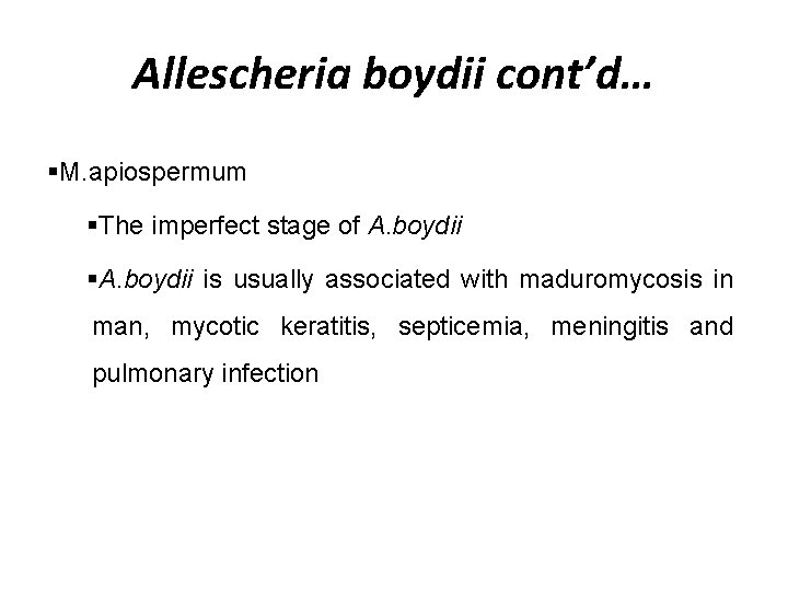 Allescheria boydii cont’d… §M. apiospermum §The imperfect stage of A. boydii §A. boydii is