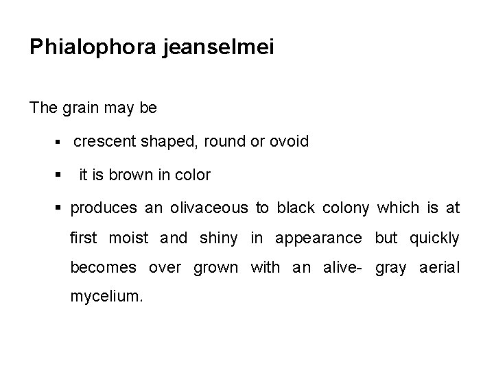Phialophora jeanselmei The grain may be § crescent shaped, round or ovoid § it