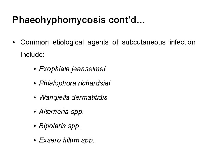 Phaeohyphomycosis cont’d… • Common etiological agents of subcutaneous infection include: • Exophiala jeanselmei •