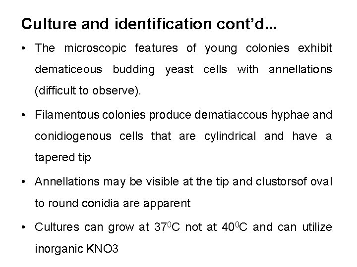 Culture and identification cont’d… • The microscopic features of young colonies exhibit dematiceous budding