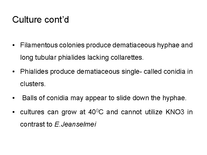 Culture cont’d • Filamentous colonies produce dematiaceous hyphae and long tubular phialides lacking collarettes.