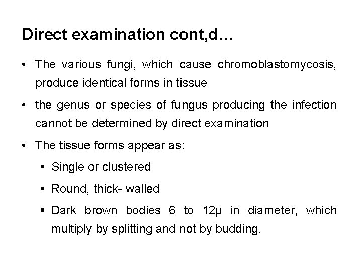 Direct examination cont, d… • The various fungi, which cause chromoblastomycosis, produce identical forms