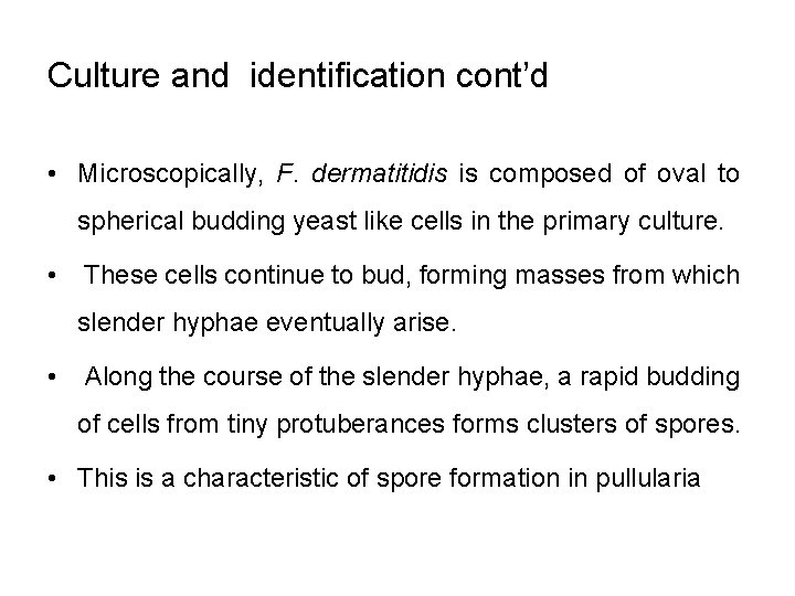 Culture and identification cont’d • Microscopically, F. dermatitidis is composed of oval to spherical