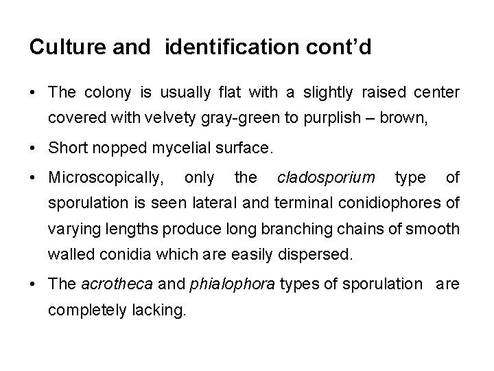 Culture and identification cont’d • The colony is usually flat with a slightly raised