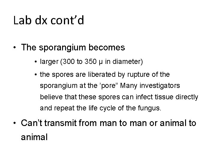 Lab dx cont’d • The sporangium becomes • larger (300 to 350 μ in