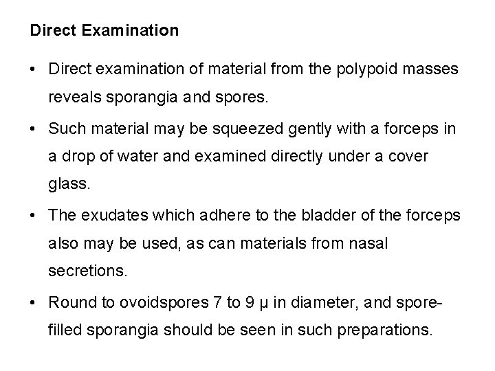 Direct Examination • Direct examination of material from the polypoid masses reveals sporangia and
