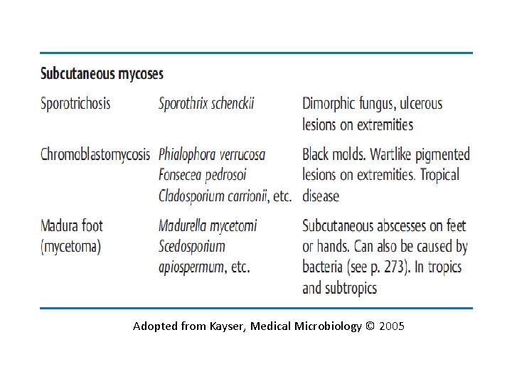 Adopted from Kayser, Medical Microbiology © 2005 