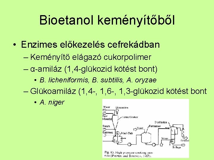 Bioetanol keményítőből • Enzimes előkezelés cefrekádban – Keményítő elágazó cukorpolimer – α-amiláz (1, 4