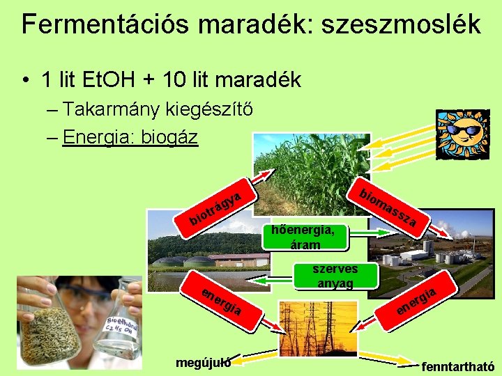 Fermentációs maradék: szeszmoslék • 1 lit Et. OH + 10 lit maradék – Takarmány