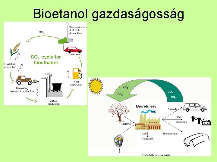 Bioetanol gazdaságosság 