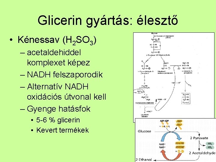 Glicerin gyártás: élesztő • Kénessav (H 2 SO 3) – acetaldehiddel komplexet képez –