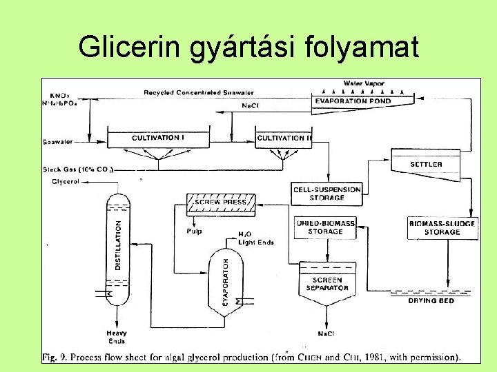 Glicerin gyártási folyamat 