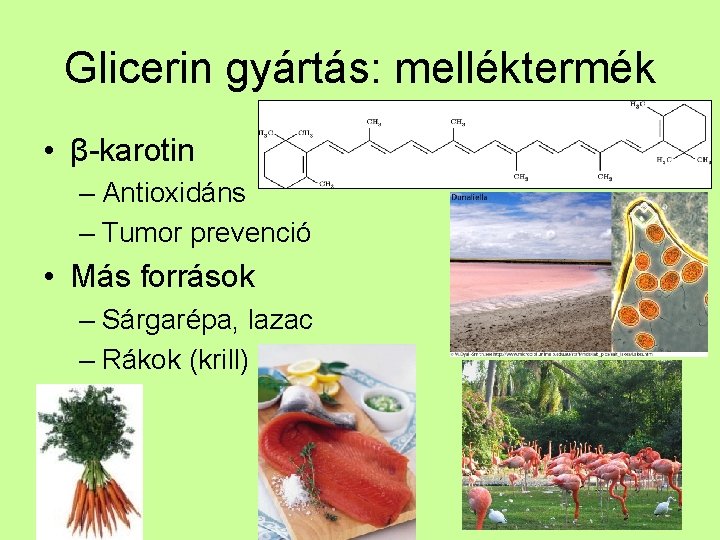 Glicerin gyártás: melléktermék • β-karotin – Antioxidáns – Tumor prevenció • Más források –