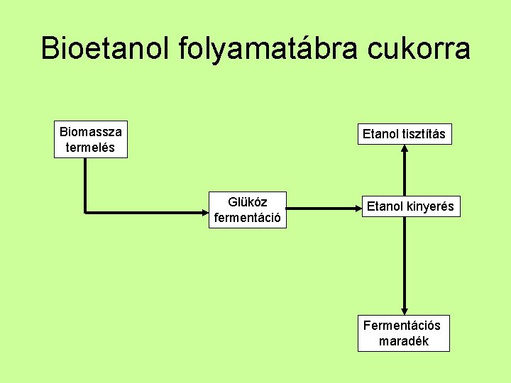 Bioetanol folyamatábra cukorra Biomassza termelés Etanol tisztítás Glükóz fermentáció Etanol kinyerés Fermentációs maradék 