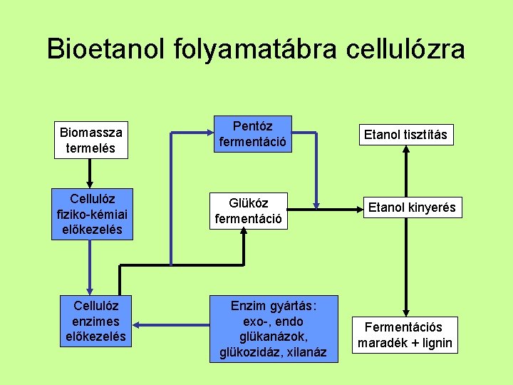 Bioetanol folyamatábra cellulózra Biomassza termelés Cellulóz fiziko-kémiai előkezelés Cellulóz enzimes előkezelés Pentóz fermentáció Glükóz