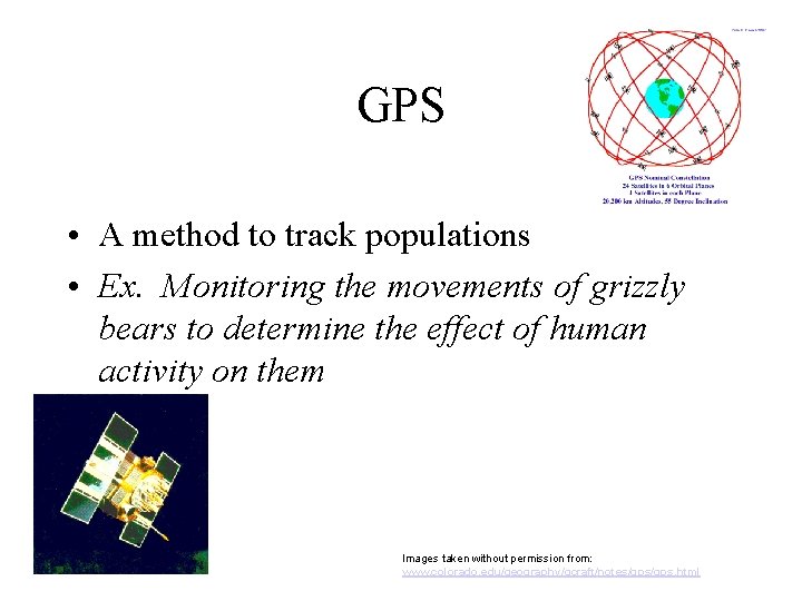 GPS • A method to track populations • Ex. Monitoring the movements of grizzly