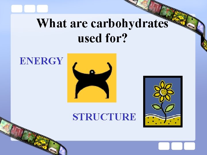 What are carbohydrates used for? ENERGY STRUCTURE 