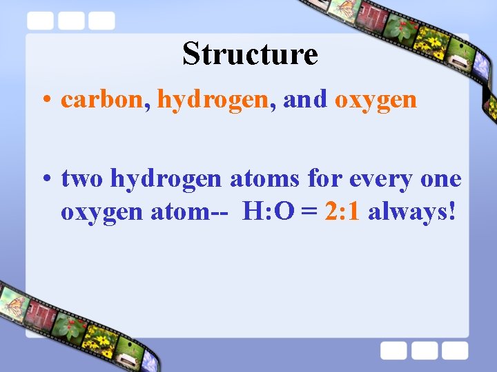 Structure • carbon, hydrogen, and oxygen • two hydrogen atoms for every one oxygen