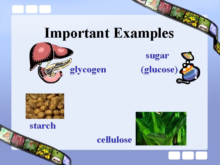 Important Examples glycogen starch cellulose sugar (glucose) 