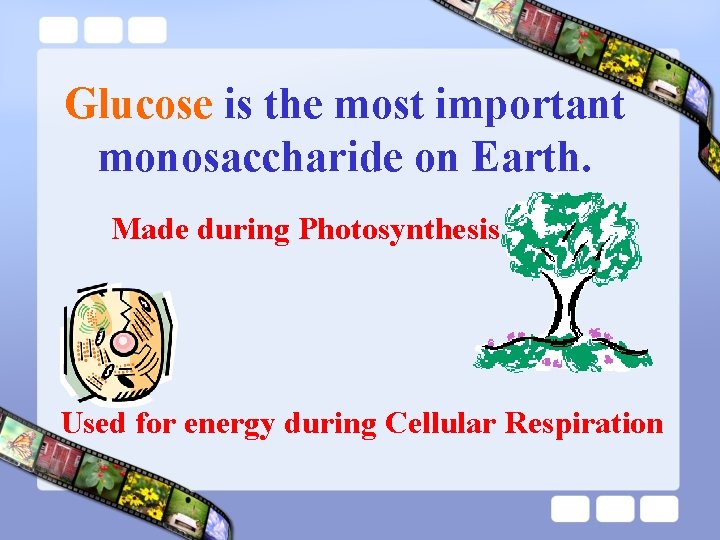 Glucose is the most important monosaccharide on Earth. Made during Photosynthesis Used for energy