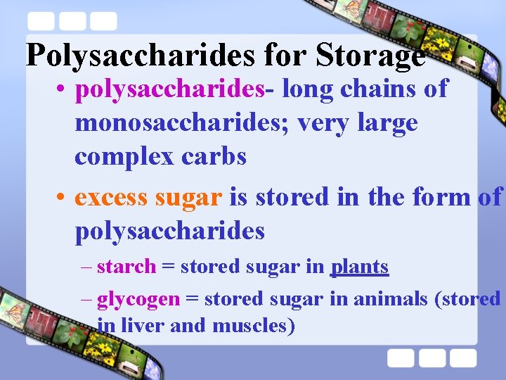 Polysaccharides for Storage • polysaccharides- long chains of monosaccharides; very large complex carbs •