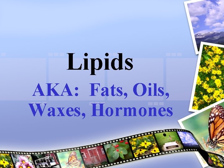 Lipids AKA: Fats, Oils, Waxes, Hormones 