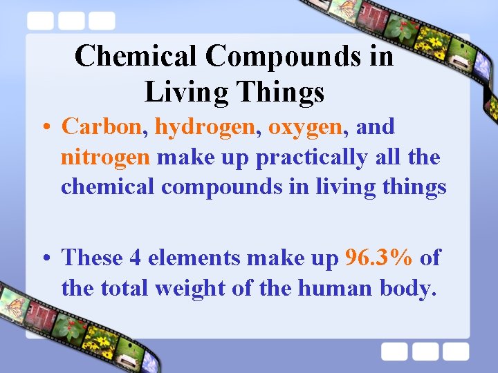 Chemical Compounds in Living Things • Carbon, hydrogen, oxygen, and nitrogen make up practically