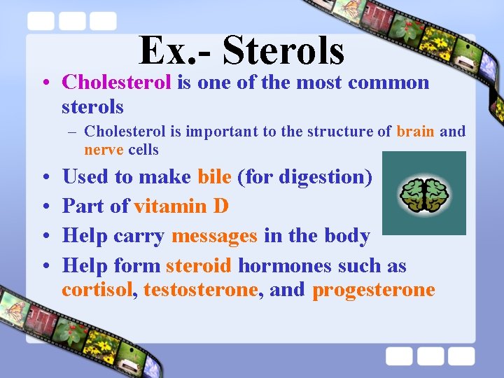 Ex. - Sterols • Cholesterol is one of the most common sterols – Cholesterol