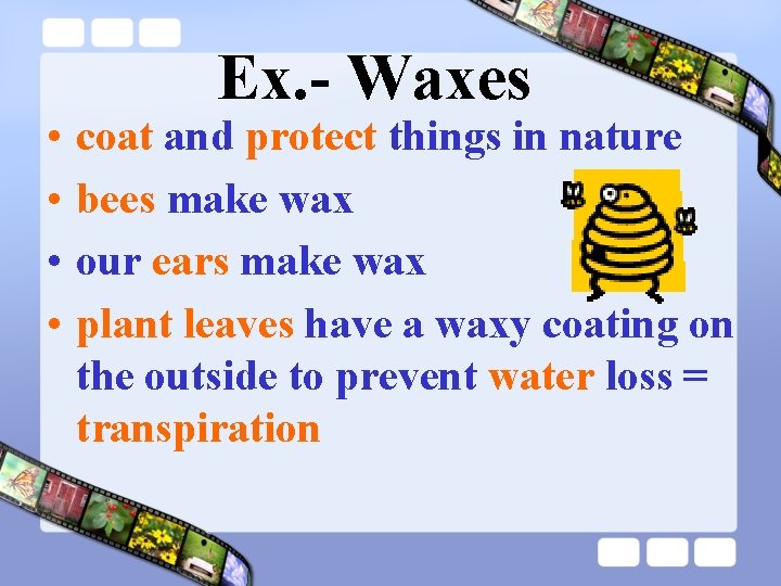  • • Ex. - Waxes coat and protect things in nature bees make