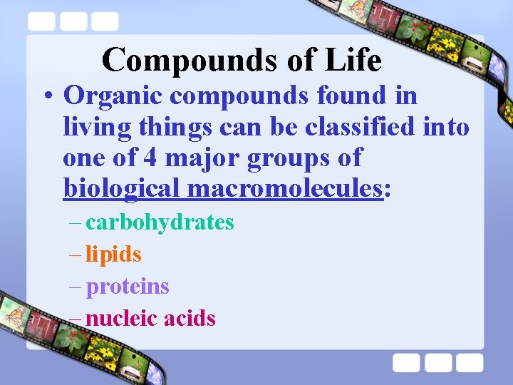 Compounds of Life • Organic compounds found in living things can be classified into