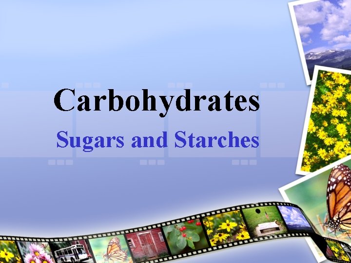 Carbohydrates Sugars and Starches 