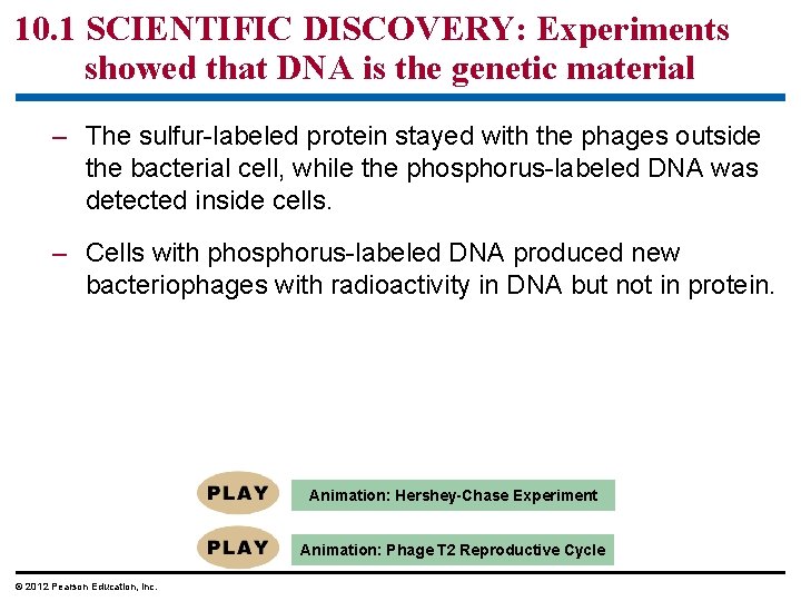 10. 1 SCIENTIFIC DISCOVERY: Experiments showed that DNA is the genetic material – The