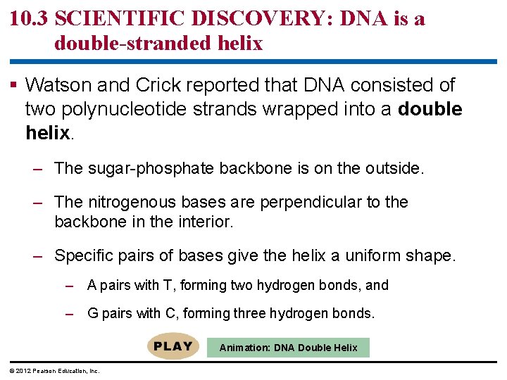 10. 3 SCIENTIFIC DISCOVERY: DNA is a double-stranded helix § Watson and Crick reported