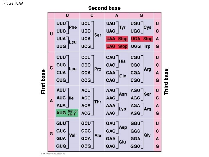 Figure 10. 8 A Third base First base Second base 