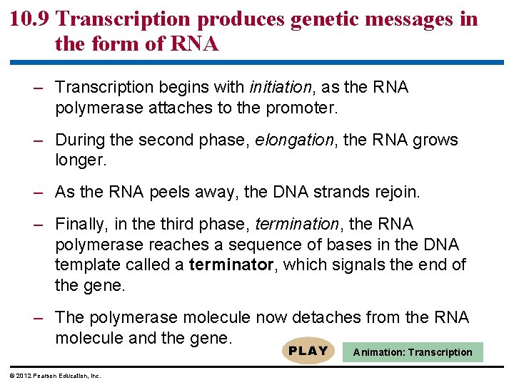 10. 9 Transcription produces genetic messages in the form of RNA – Transcription begins