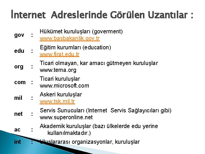 İnternet Adreslerinde Görülen Uzantılar : gov : Hükümet kuruluşları (goverment) www. basbakanlik. gov. tr