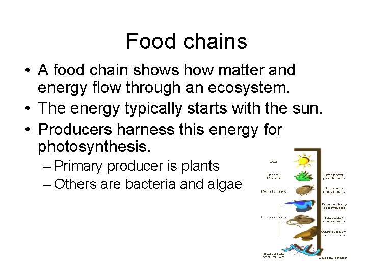 Food chains • A food chain shows how matter and energy flow through an