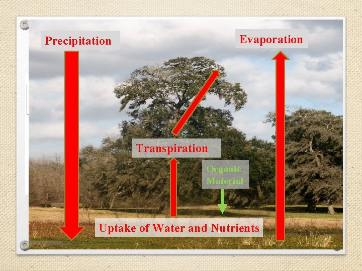 Precipitation Climate Evaporation Precipitation and Temperature Transpiration Organic Material Precipitation: 42 -46 Inches Soil